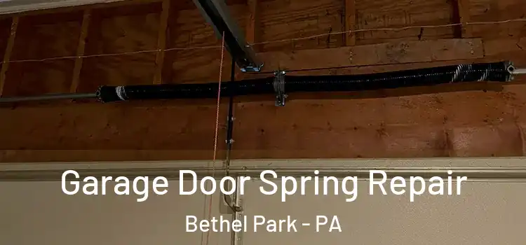  Garage Door Spring Repair Bethel Park - PA